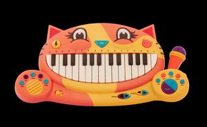 the cat keyboard project